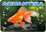 Aquantika