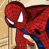 Spiderman Costume  (Spidermeno kostiumas)