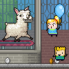 Llama in your face  (Lama spjaudosi)