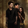 Twilight jigsaw  (Saulėlydžio dėlionė)