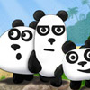3 pandas  (3 pandos)