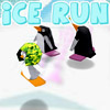Ice run  (Lentynės ant ledo)