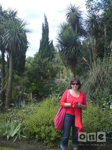 --Loricike --Cepaitike