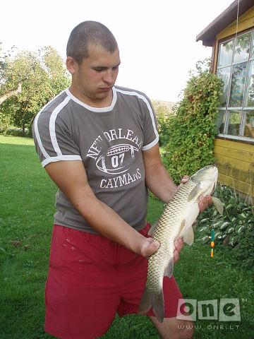 Mantas V.