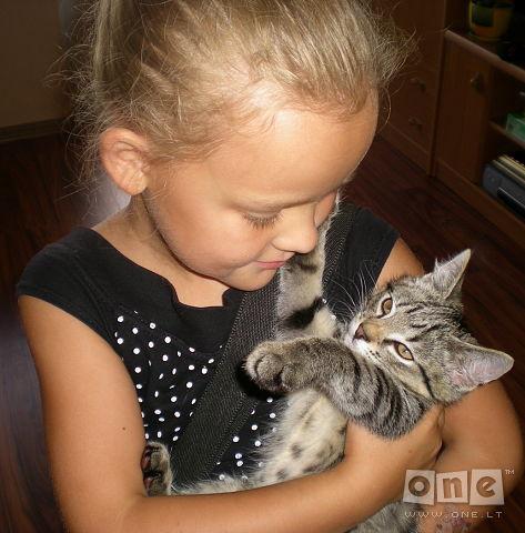 Ema šiūtė