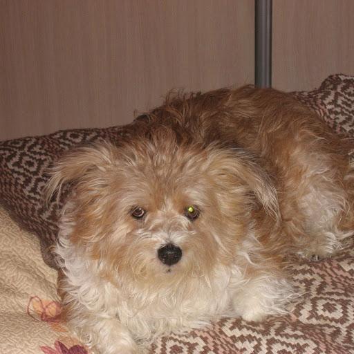 Ramunė Tau
