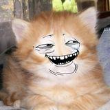 Магомед Шихахмедов
