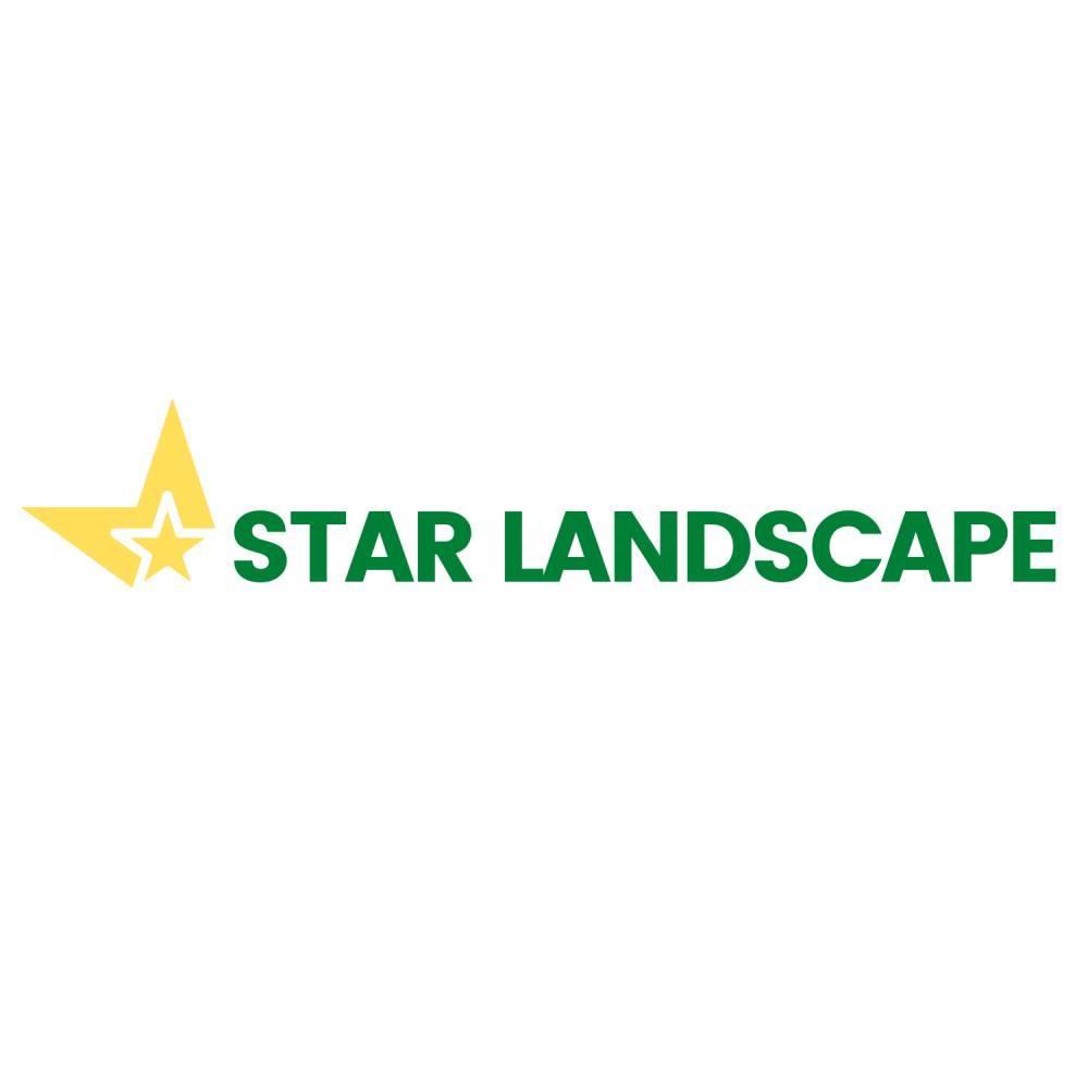 Star Landscape