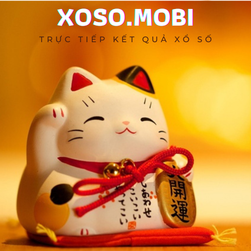 Xổ Số Hôm Nay - XS3M - KQXS -  Xổ Số 3 Miền - XOSO.MOBI