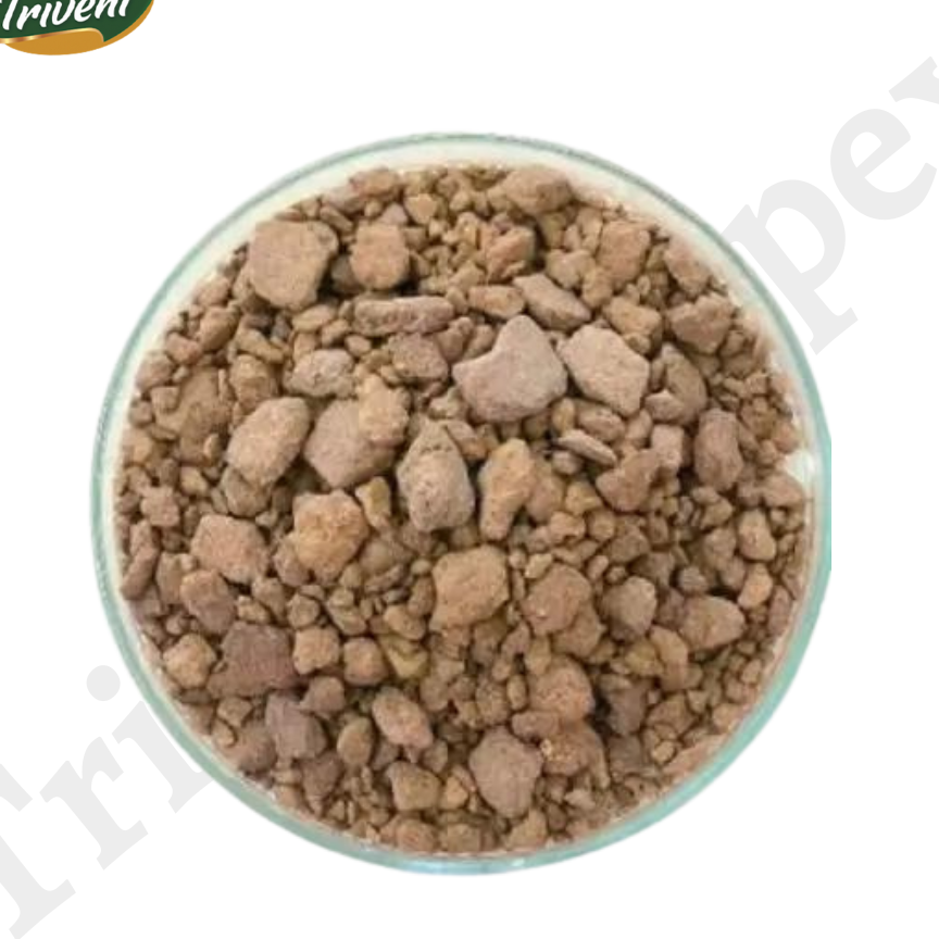 Triveni Impex