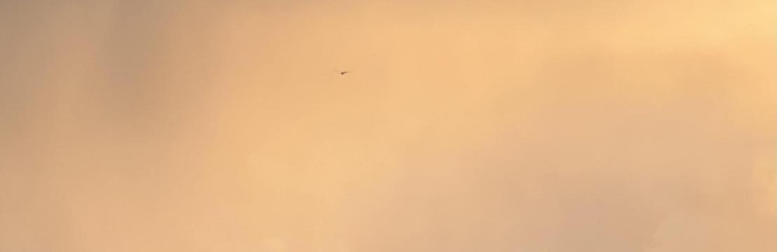 Valdas AAA