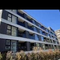 Orchid  Residence