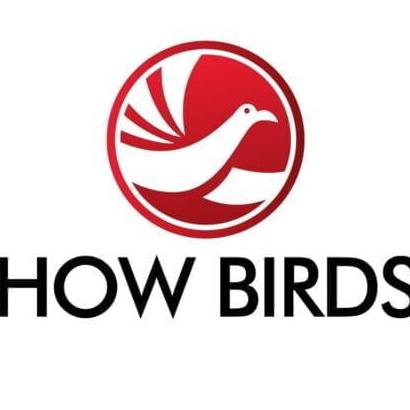 How Birds