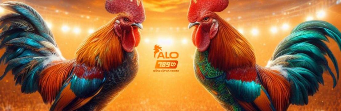 Alo789 Com