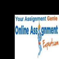 Onlineassignmnet Expert