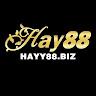 HAY88 BIZ
