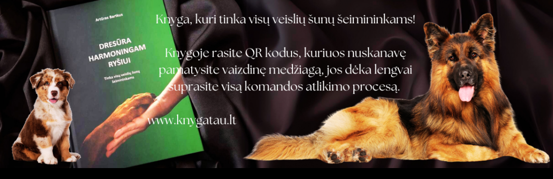 Knyga Tau
